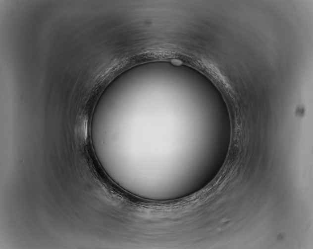 X0000101150021200806270954