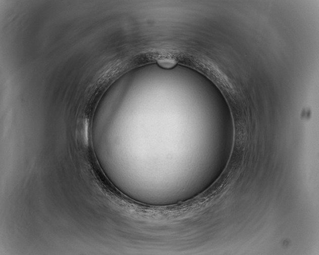 X0000101150022200806270953