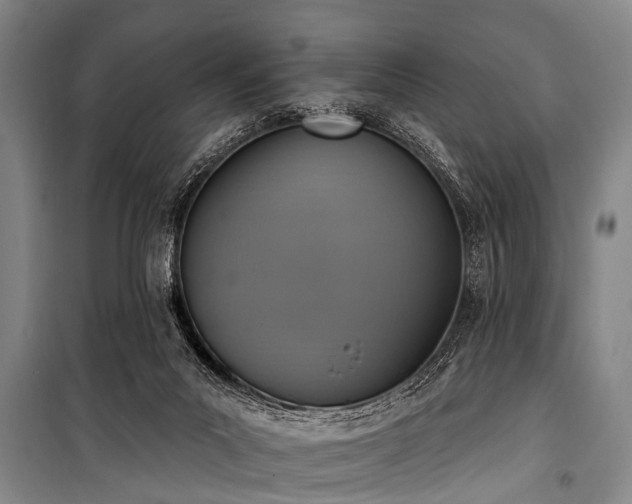 X0000101150023200806270953