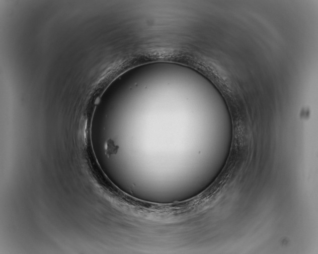 X0000101150024200806270953