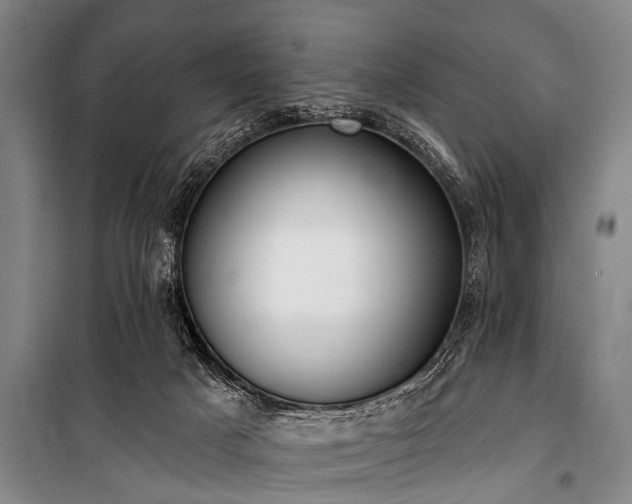 X0000101150025200806270953