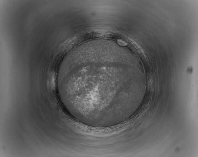 X0000101150026200806270953