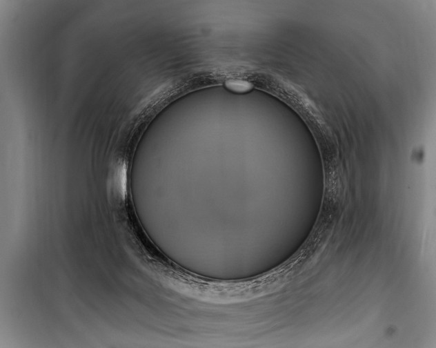 X0000101150027200806270953