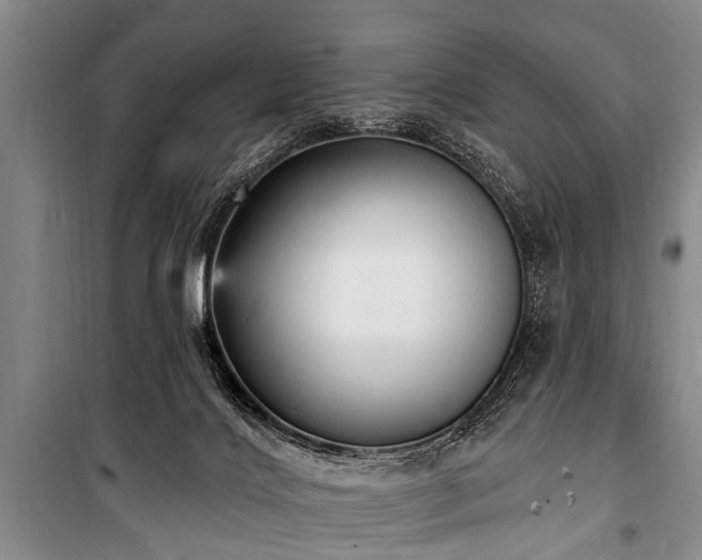 X0000101150028200806270953