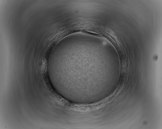 X0000101150029200806270953