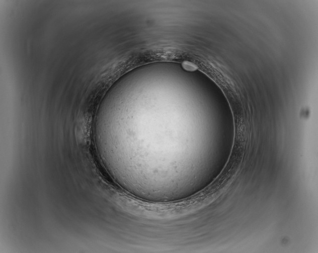 X0000101150030200806270953