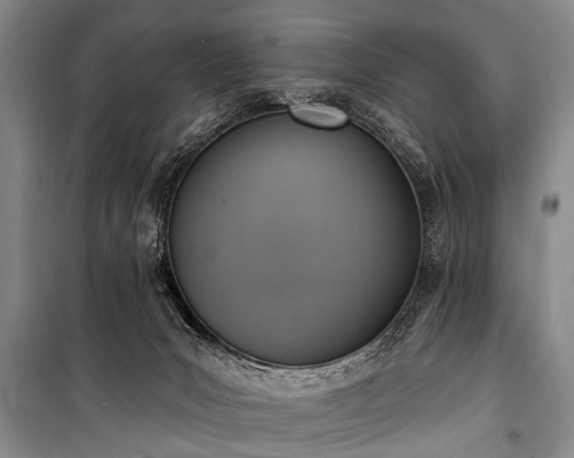 X0000101150031200806270953