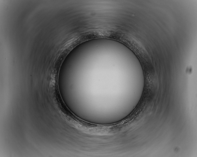 X0000101150032200806270953