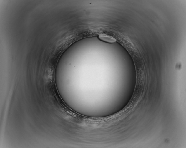 X0000101150033200806270953