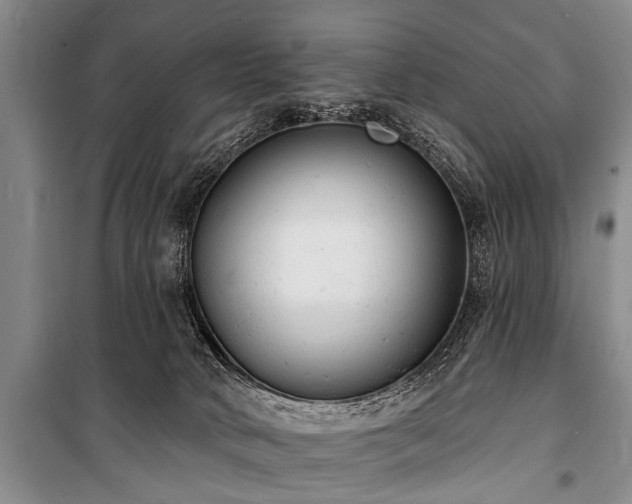 X0000101150034200806270953