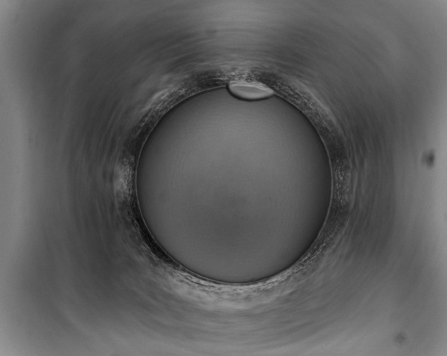 X0000101150035200806270953