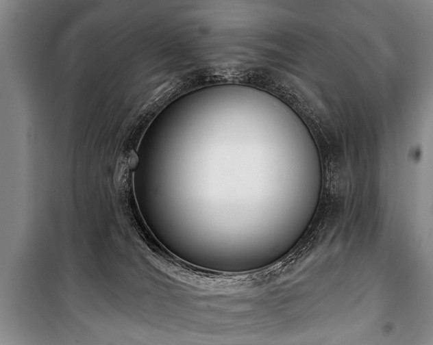 X0000101150036200806270953