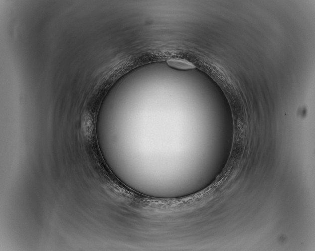 X0000101150037200806270953