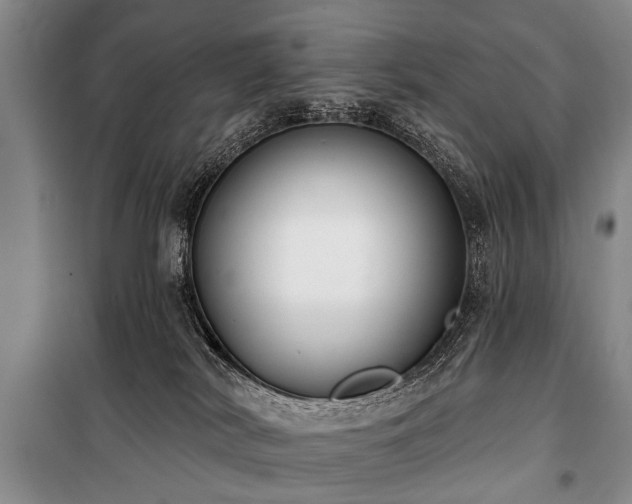 X0000101150038200806270953