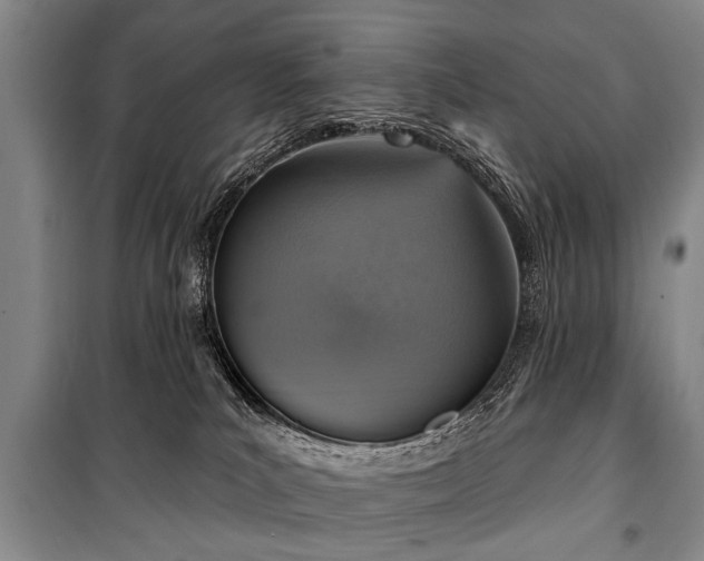 X0000101150039200806270953