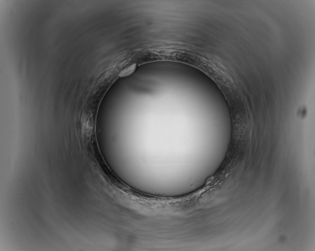 X0000101150040200806270953