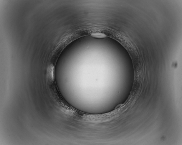 X0000101150041200806270953