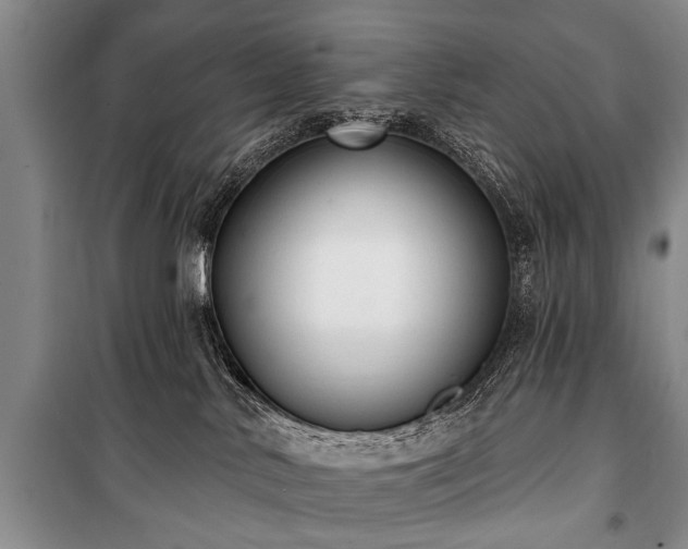 X0000101150042200806270953