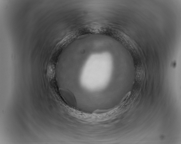 X0000101150043200806270953