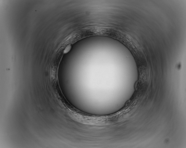 X0000101150044200806270953