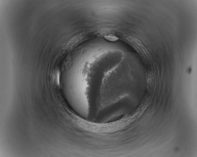 X0000101150046200806270953