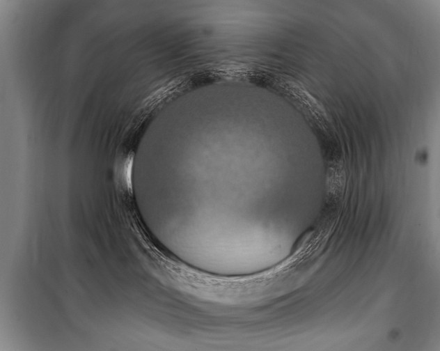 X0000101150047200806270953