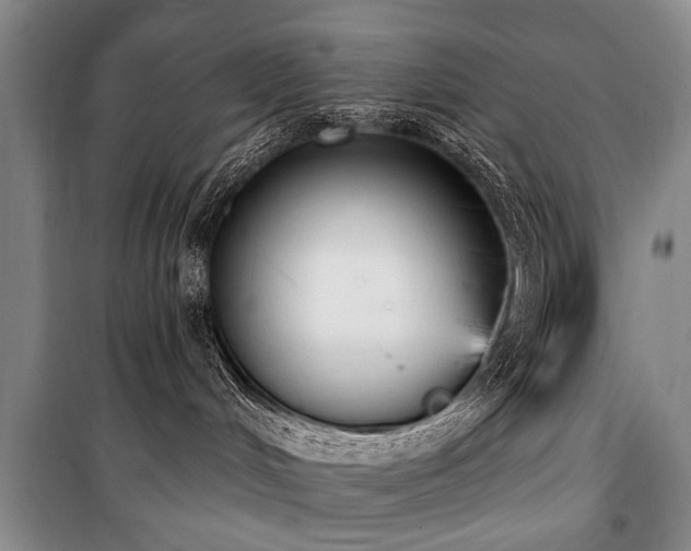 X0000101150048200806270953