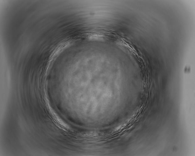 X0000101150049200806270952