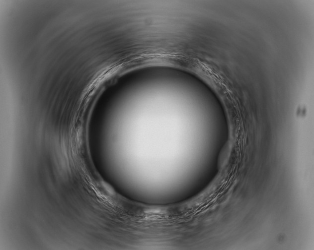 X0000101150050200806270952