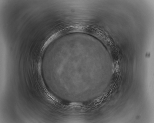 X0000101150051200806270952