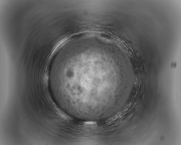 X0000101150053200806270953