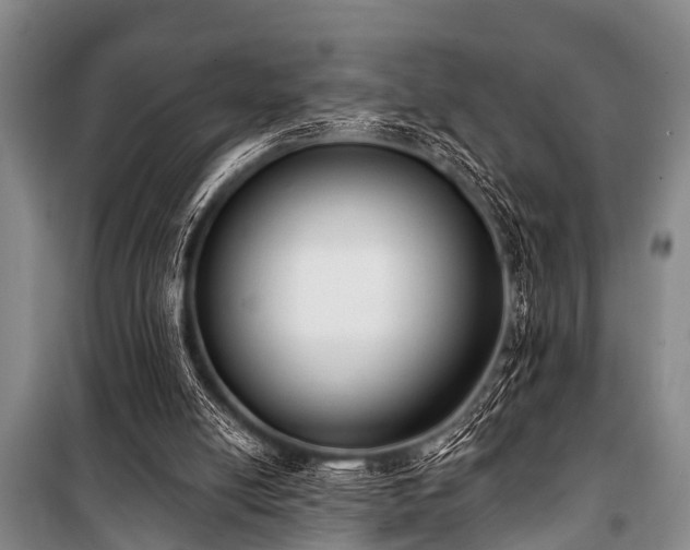 X0000101150054200806270953