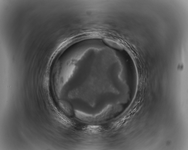 X0000101150055200806270953