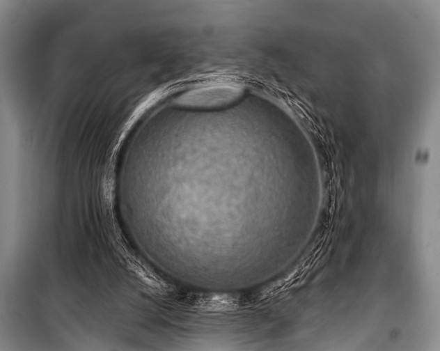 X0000101150056200806270953