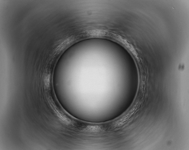 X0000101150057200806270953