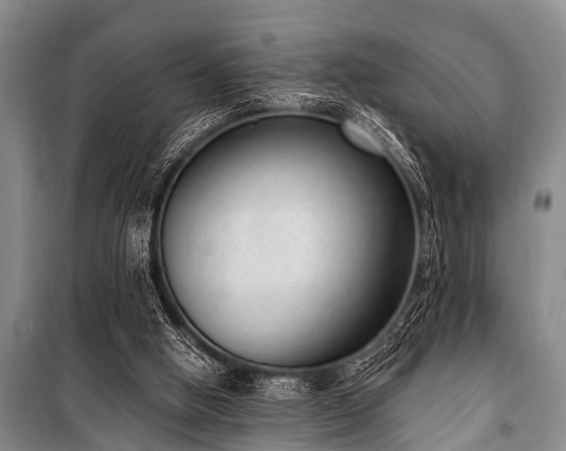 X0000101150058200806270953