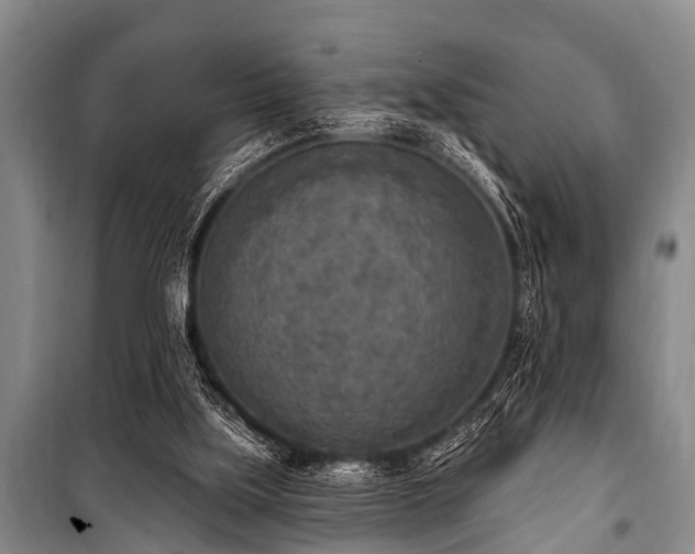 X0000101150059200806270953