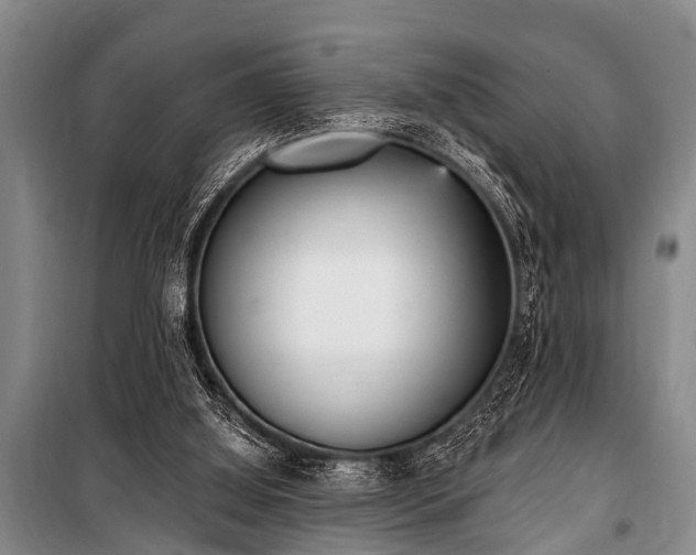 X0000101150060200806270953