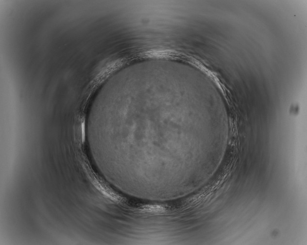 X0000101150061200806270953