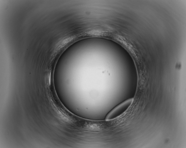 X0000101150062200806270953