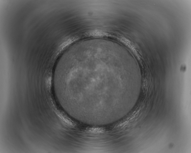 X0000101150063200806270953