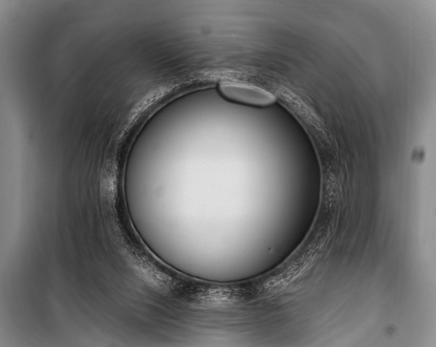 X0000101150064200806270953