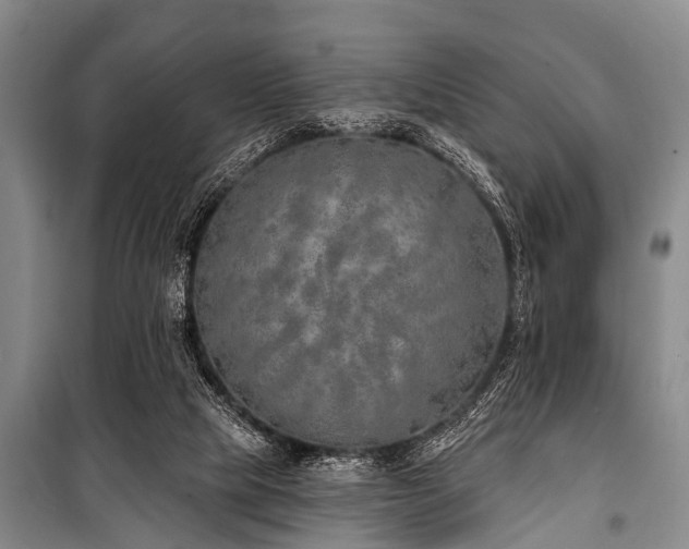 X0000101150065200806270953