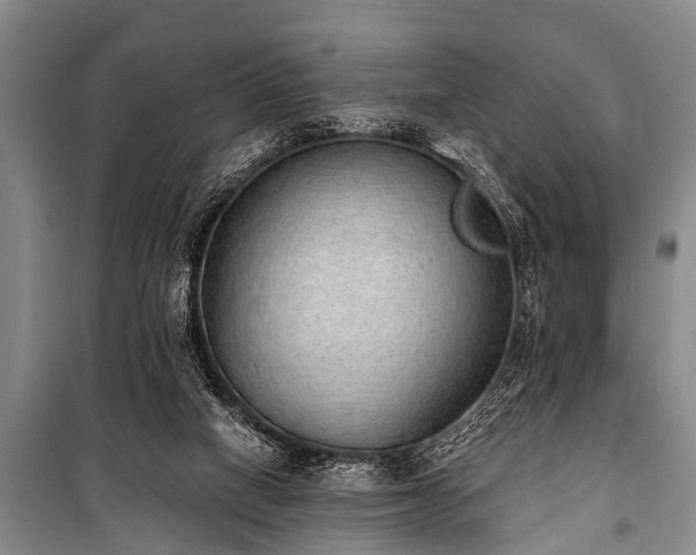 X0000101150066200806270953