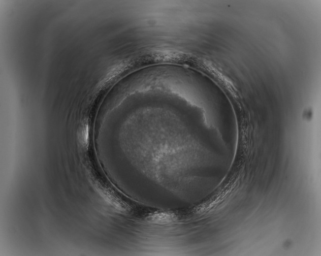 X0000101150067200806270953