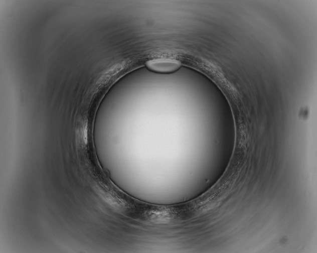 X0000101150068200806270953