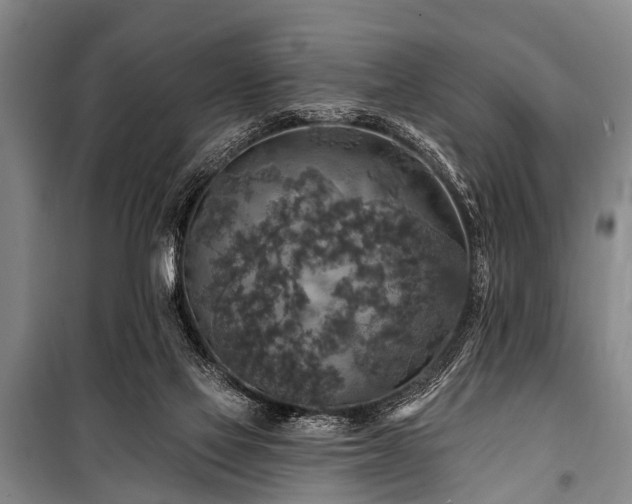 X0000101150069200806270953