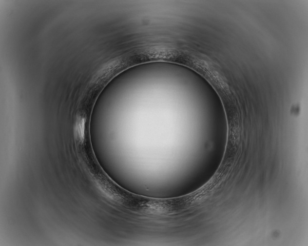 X0000101150070200806270953