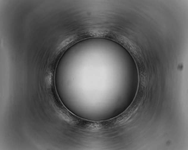 X0000101150071200806270953