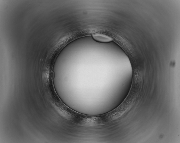 X0000101150072200806270953